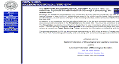 Desktop Screenshot of nyps.org